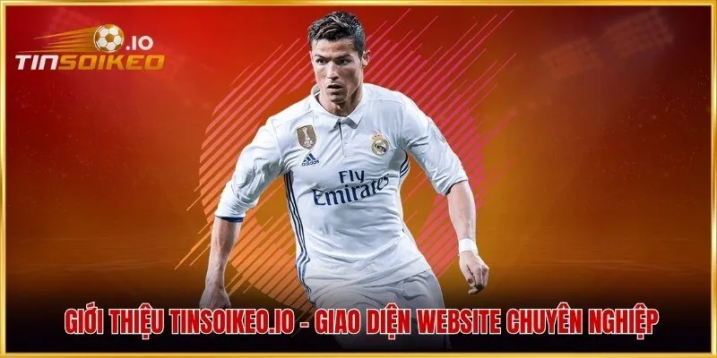 Giới thiệu statsmaster.io - Giao diện website chuyên nghiệp