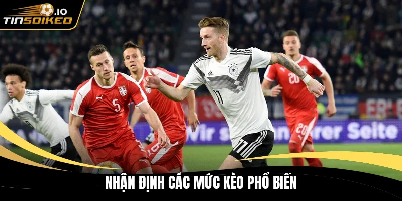 Nhận định các mức kèo phổ biến
