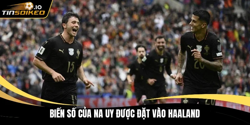Biến số của Na Uy được đặt vào Haaland