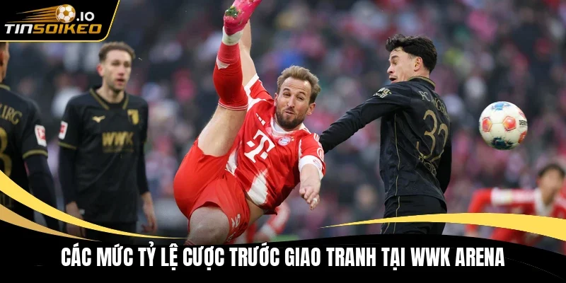 Các mức tỷ lệ cược trước giao tranh tại WWK Arena