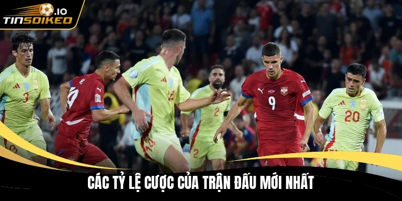 Các tỷ lệ cược của trận đấu mới nhất