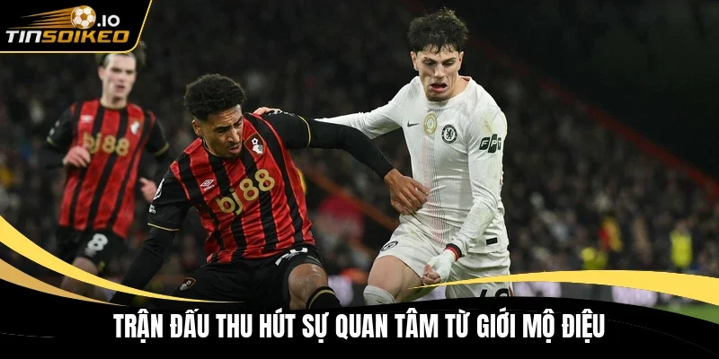 Trận đấu thu hút sự quan tâm từ giới mộ điệu